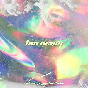 Picture for song 'Too Many' by artist 'jayadamsbeatz'