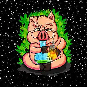 Picture for song 'MARY J.' by artist 'Kaine Summer'