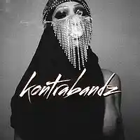 Picture for song 'Arabian Party' by artist 'Kontrabandz'
