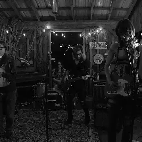 Picture for song 'different march' by artist 'Nancy Babich'