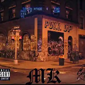 Picture for song 'Pull Up' by artist 'Platinum Premiere Records'