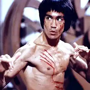 Picture for song 'Enter The Dragon Theme' by artist 'Previous Signs of Decay'