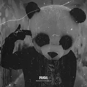 Picture for song 'Panda' by artist 'RICH MELLO'