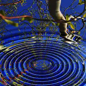 Picture for song 'Circles' by artist 'Sashqxxx'