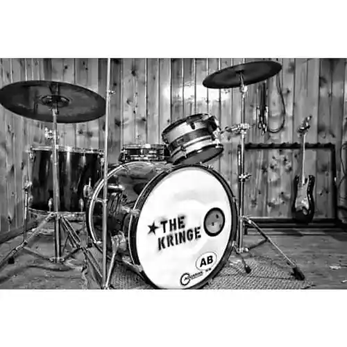 Picture for song 'Shake It_JP Mix 3' by artist 'The Kringe'