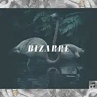 Picture for song 'Bizarre (buy1 get 1 free, buy 2 get 2 free) ' by artist 'ruwaves'