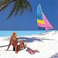 Picture for song 'SUMMER's FANTASY' by artist 'Alexis VAN EECKHOUT'