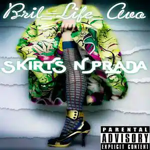Picture for song 'SKIRTS N PRADA' by artist 'BriL-LifeAvo'
