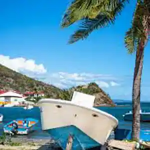 Picture for song 'Breezy E.' by artist 'Johanna Renfro'