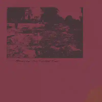 Picture for song 'Abhorred' by artist 'No Curfew Kids'