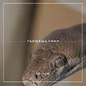 Picture for song '36. Rattlesnake (FREE)' by artist 'RapaNizze'