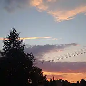 Picture for song 'efy melly' by artist 'Sorry im late'