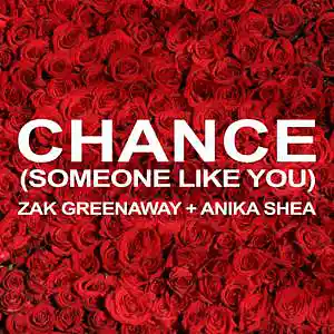 Picture for song 'Chance (Someone like You)' by artist 'Anika Shea'