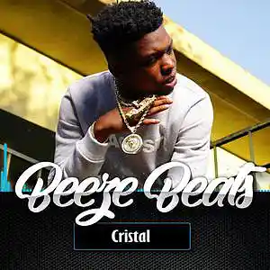 Picture for song 'Cristal (2 for 1)' by artist 'BeezeBeats'