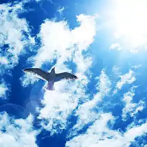 Picture for song 'Deko type beat "pearl"' by artist 'burnout beatz'