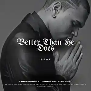 Picture for song '"Better Than He Does" - Chris Brown Ft. TImbaland' by artist 'Dras On The Beat'