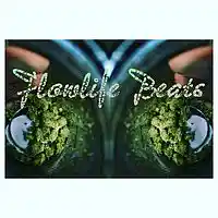 Picture for song 'Piano Back Pack' by artist 'Flowlife Beats'