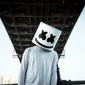 Picture for song 'Everyday RM.' by artist 'LIL SCARCIONX'