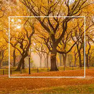 Picture for song 'October (Steve Lacy x Dominic Fike Type Beat)' by artist 'SoupBeats'