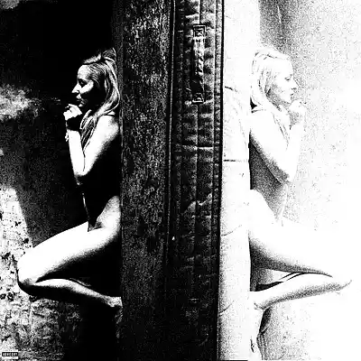 Picture for song 'C'est Chic' by artist 'Alistair Fontaine'