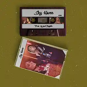Picture for song 'Sky Haven' by artist 'just Clayton'
