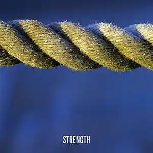 Picture for song 'Strength (Instrumental Percussion)' by artist 'Netuno Soundtracks'