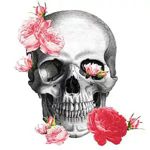 Picture for song 'MENTIONED YOU' by artist 'NY BANGERS'