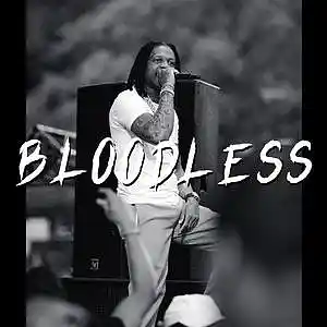 Picture for song 'Bloodless (LIl Durk type beat)' by artist 'RVSN beats'