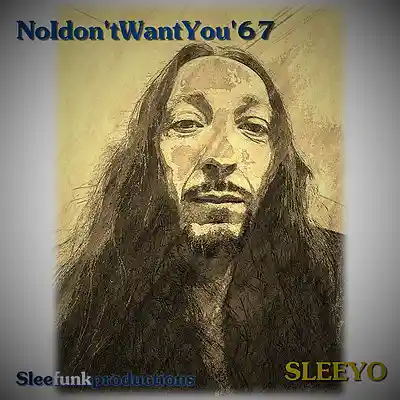 Picture for song 'NoIdon'tWantYou '67' by artist 'sleeyo'