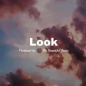 Picture for song 'Look (Smooth Hip Hop Instrumental)' by artist 'The Beautiful Noise'