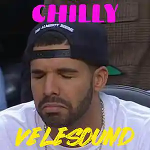 Picture for song 'Drake type beat 2021 "CHILLY"' by artist 'VELESOUND'