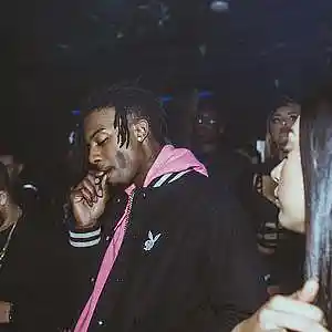 Picture for song 'Dummy - Pierre Type' by artist 'W I L E Y beats'