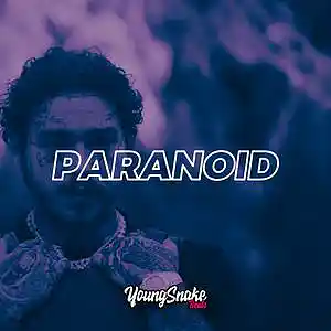 Picture for song '"Paranoid" - Post Malone x Polo G Type Beat 2021' by artist 'Young Snake Beats'