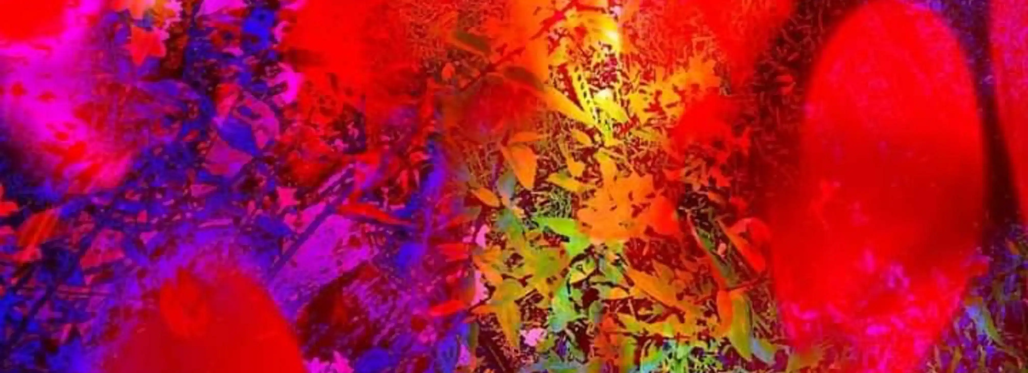 cover pic