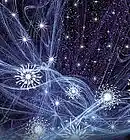 Picture for song 'Homage to Olivier Messiaen' by artist 'Ernest Youngman'