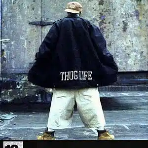 Picture for song '[Free] 90's Hip Hop / Boom Bap type beat - Thug li' by artist 'Hielo 7'