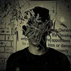 Picture for song 'Insomnia' by artist 'Lesedi le Roux'