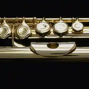 Picture for song 'Flute Interlude' by artist 'Michael Fanning'