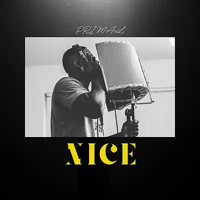 Picture for song 'Nice' by artist 'Primal-The-Visionary'