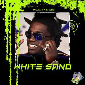 Picture for song 'Kodak Black+Jackboy+Polo G Type Beat - White Sand' by artist 'sange beats'