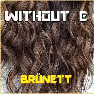 Picture for song 'BRÜNETT' by artist 'WITHOUT E'
