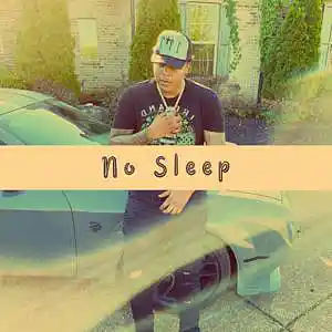 Picture for song 'No Sleep (BigWalkDog Type Beat) - Devezin.com' by artist 'Devezin'