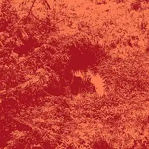 Picture for song 'Twilight in the Wilderness' by artist 'JanetWallace'