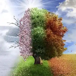 Picture for song 'Everything Must Change' by artist 'Rosalind Loveluck'