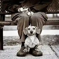 Picture for song 'Celebration ....' by artist 'stefanos grigoriadis'