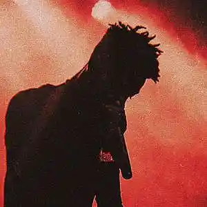 Picture for song '21 SAVAGE "21 WAY"' by artist 'storm on da beat'