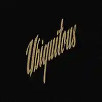 Picture for song 'Ubiguitous' by artist 'Swampman And The Machine'