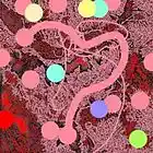 Picture for song 'The pursuit of happiness' by artist 'The Serendipitous Cacophonies'