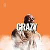 Picture for song 'CRAZY I [FREE] Amapiano Instrumental - DJ Maphoris' by artist 'TubStyle Beats Prod''