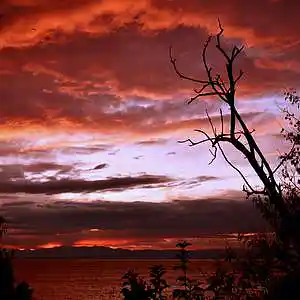 Picture for song 'Silent' by artist 'ZERuvc'